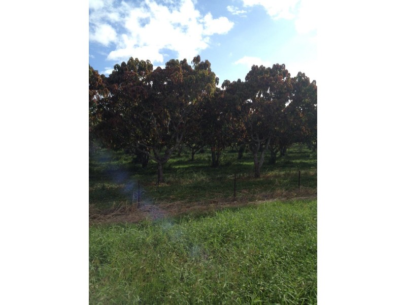 8553 BRUCE HIGHWAY, Bloomsbury QLD 4799