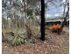 1425 MIDGE POINT ROAD, Midge Point QLD 4799