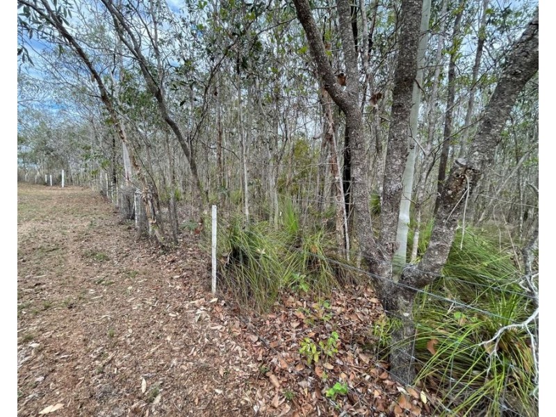 1425 MIDGE POINT ROAD, Midge Point QLD 4799