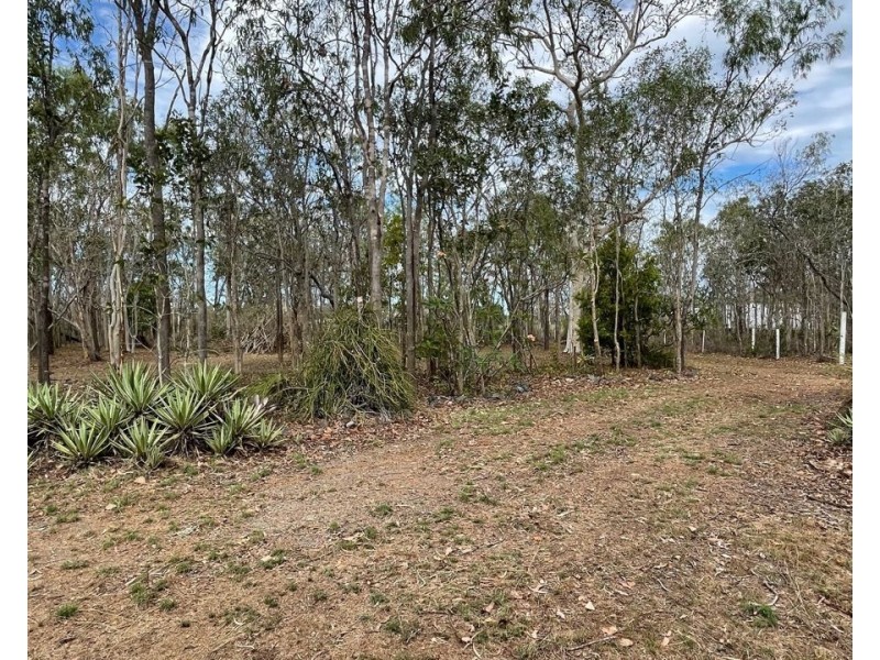 1425 MIDGE POINT ROAD, Midge Point QLD 4799