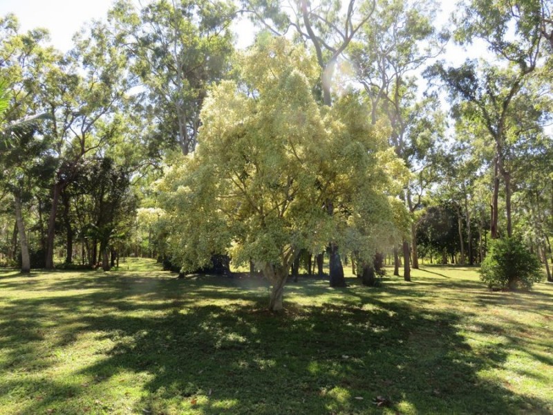 LOT 24 MOUNTNEY ROAD, Strathdickie QLD 4800