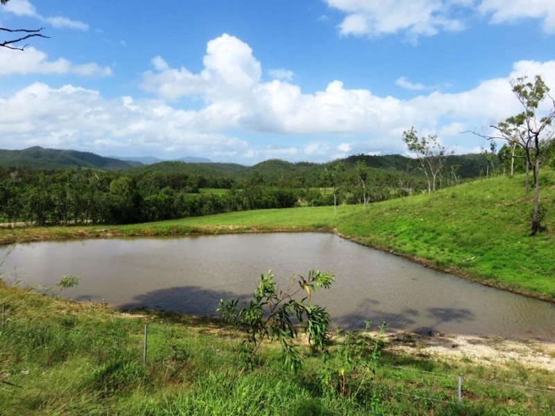 728 LINDEMAN DRIVE, Bloomsbury QLD 4799