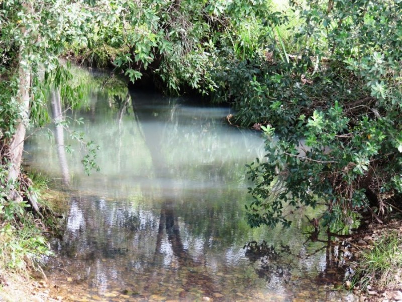 728 LINDEMAN DRIVE, Bloomsbury QLD 4799