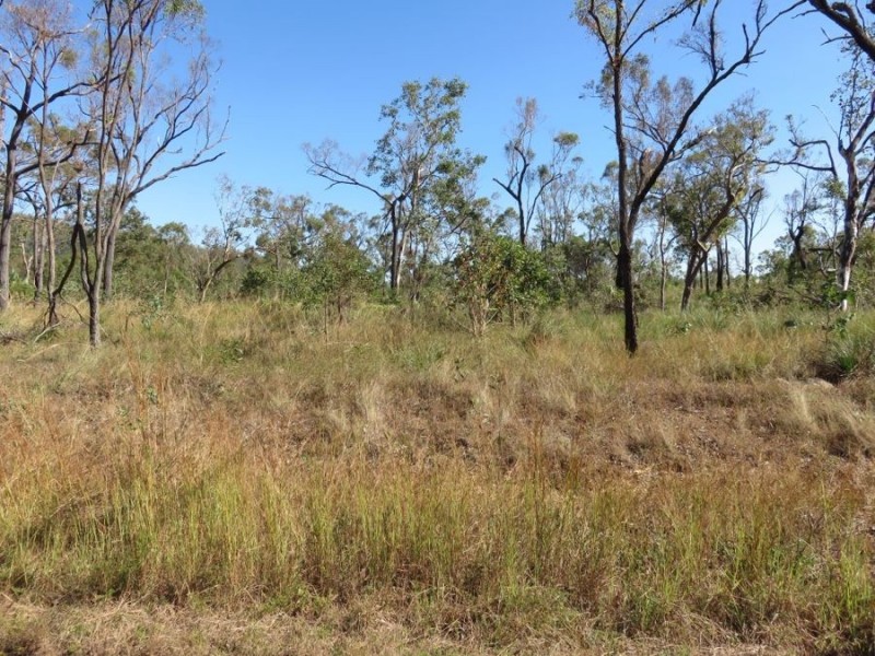 29 OFLYNN CRESCENT, Midge Point QLD 4799