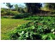 LOT 37 LELONA DRIVE, Bloomsbury QLD 4799