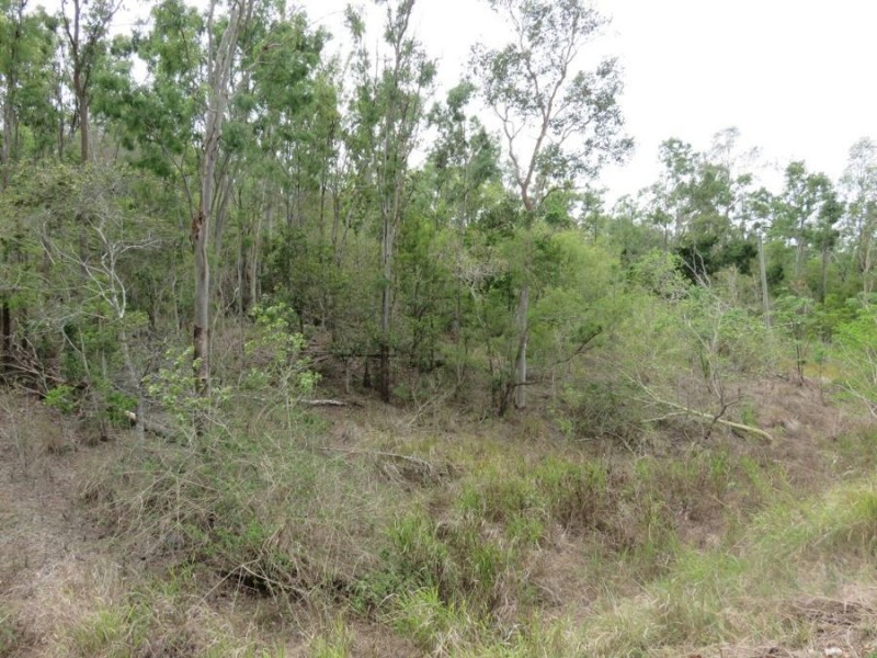 LOT 23 MIDGE POINT RD, Bloomsbury QLD 4799