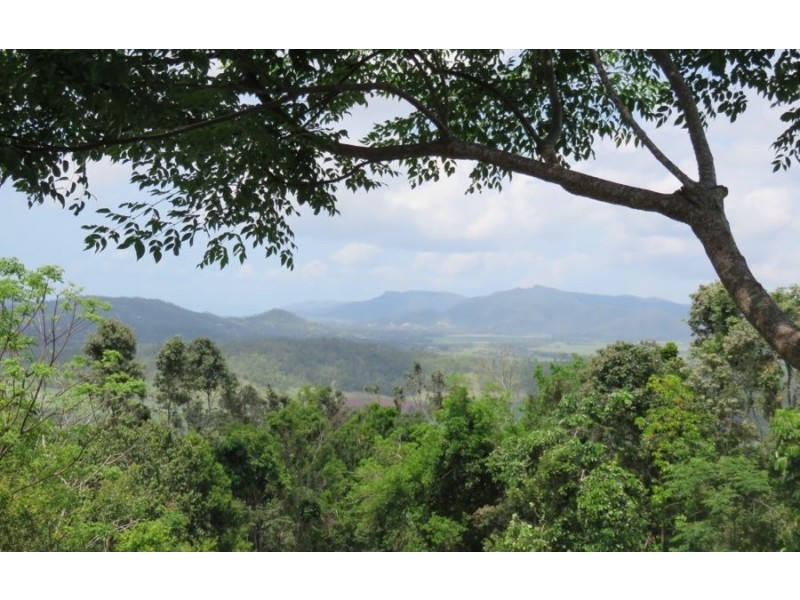 130 CAMILLE DR, Strathdickie QLD 4800