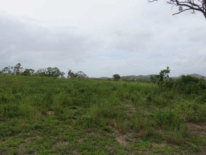 LOT 554 MIDGE POINT ROAD, Bloomsbury QLD 4799