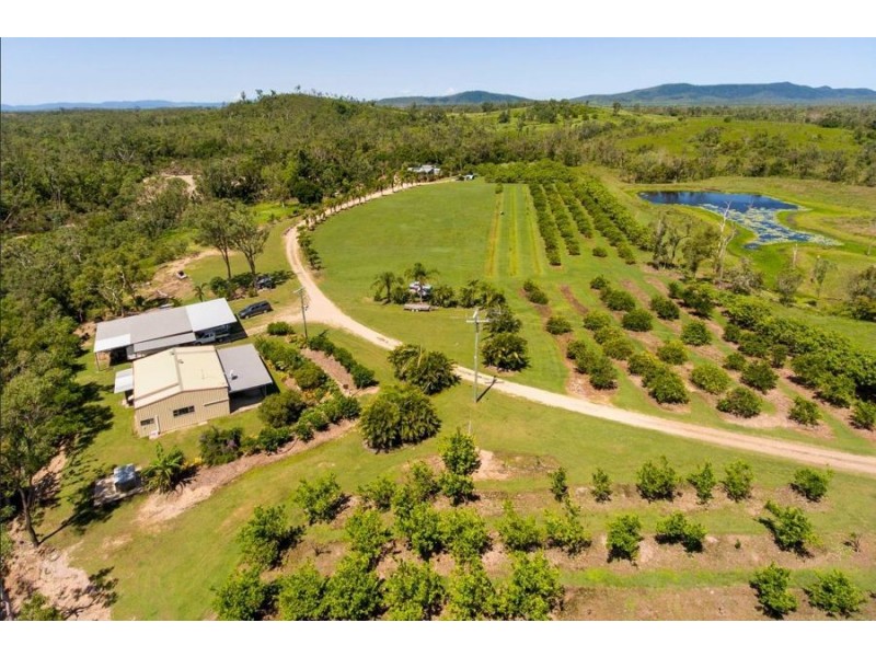 220 STAFFORDS ROAD, Bloomsbury QLD 4799