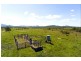 220 STAFFORDS ROAD, Bloomsbury QLD 4799