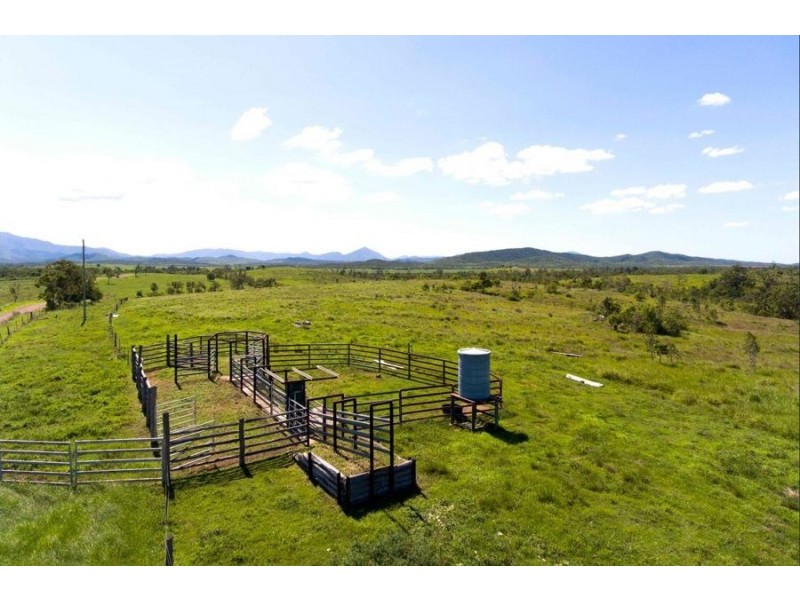 220 STAFFORDS ROAD, Bloomsbury QLD 4799