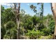220 STAFFORDS ROAD, Bloomsbury QLD 4799