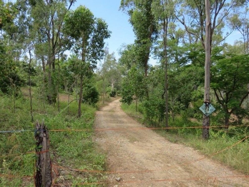 99 LELONA DRIVE, Bloomsbury QLD 4799