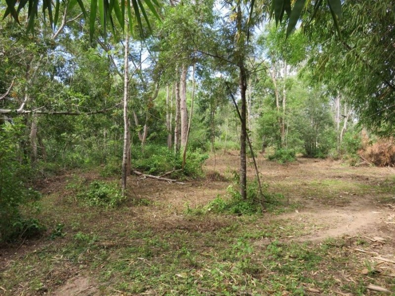 99 LELONA DRIVE, Bloomsbury QLD 4799
