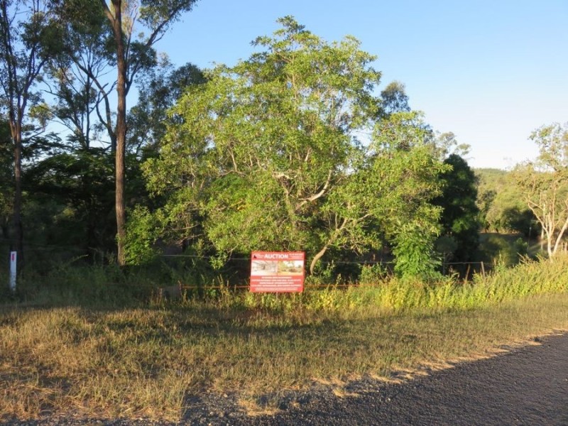 99 LELONA DRIVE, Bloomsbury QLD 4799