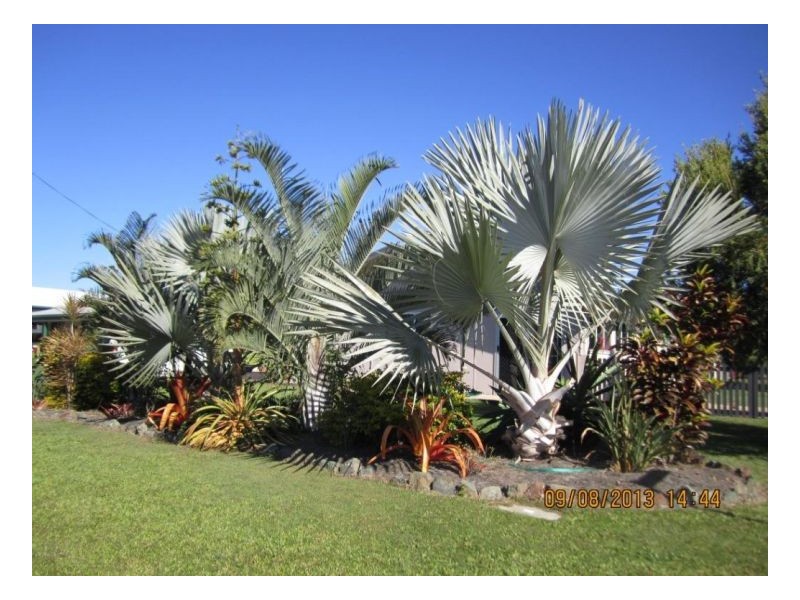 9 PARK DRIVE, Midge Point QLD 4799