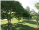 23 WHITSUNDAY DRIVE, Bloomsbury QLD 4799
