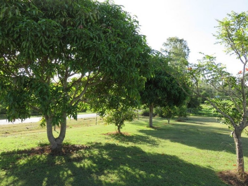 23 WHITSUNDAY DRIVE, Bloomsbury QLD 4799