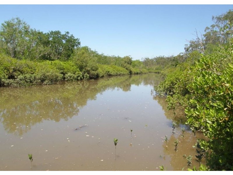 LOT 12 LINDEMAN DRIVE, Bloomsbury QLD 4799