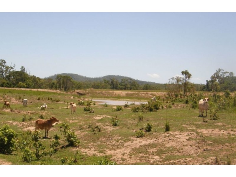 LOT 12 LINDEMAN DRIVE, Bloomsbury QLD 4799