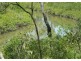 LOT 12 LINDEMAN DRIVE, Bloomsbury QLD 4799