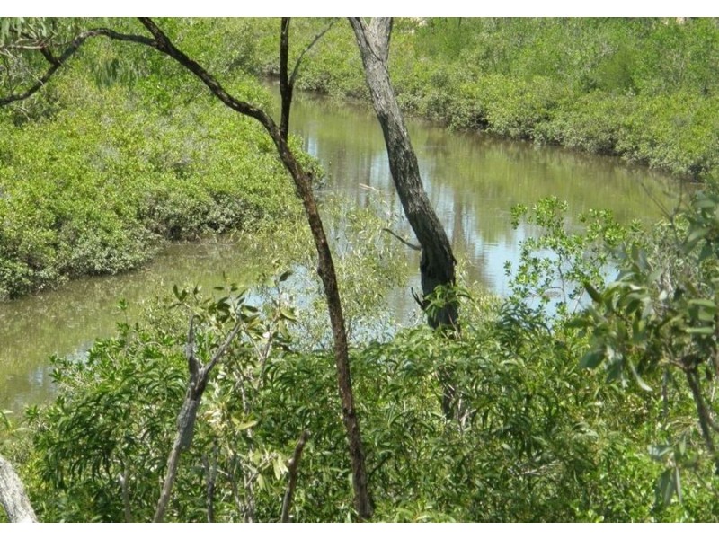 LOT 12 LINDEMAN DRIVE, Bloomsbury QLD 4799