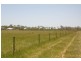 LOT 12 LINDEMAN DRIVE, Bloomsbury QLD 4799