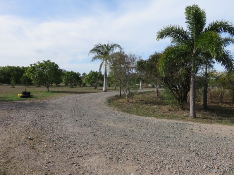 647 OLD BOWEN ROAD, Pindi Pindi QLD 4798