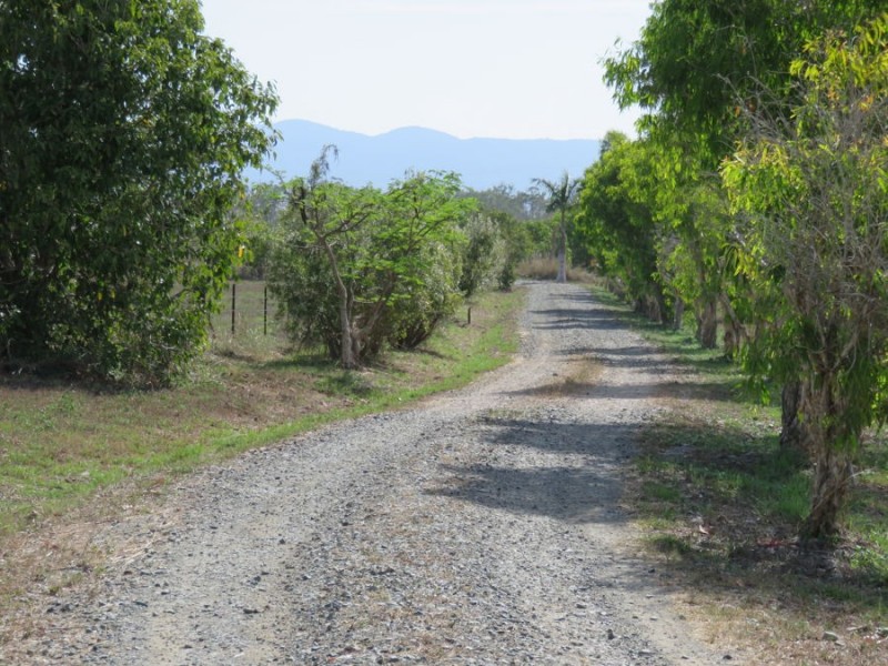 647 OLD BOWEN ROAD, Pindi Pindi QLD 4798