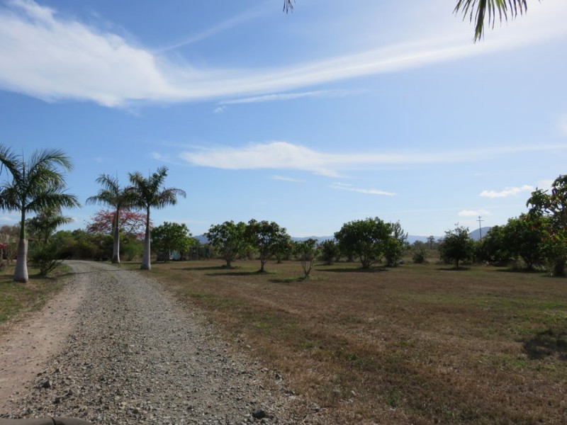 647 OLD BOWEN ROAD, Pindi Pindi QLD 4798