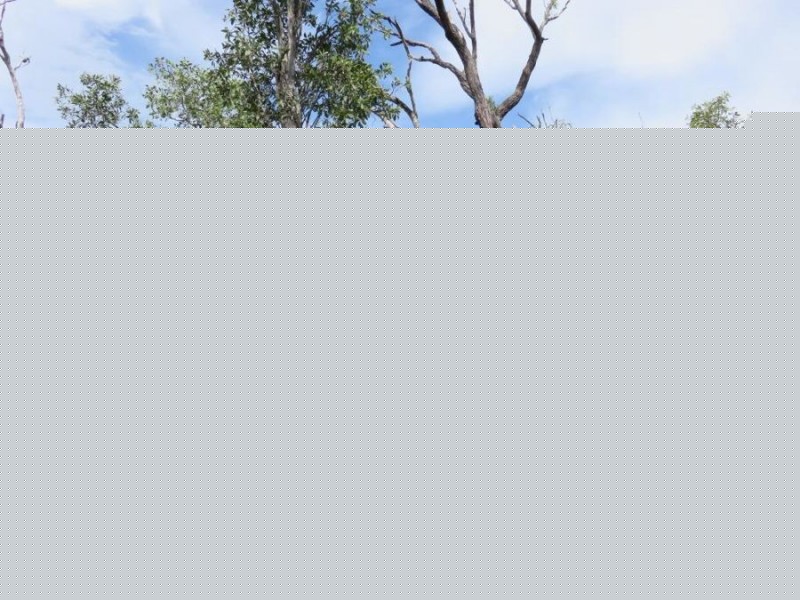 LOT 28 LAKESIDE LAGUNA QUAYS, Midge Point QLD 4799