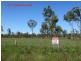 LOT 2,3 & 4 EXMOOR ROAD & LOT 3 MIDGE POINT RD, Bloomsbury QLD 4799