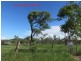 LOT 2,3 & 4 EXMOOR ROAD & LOT 3 MIDGE POINT RD, Bloomsbury QLD 4799