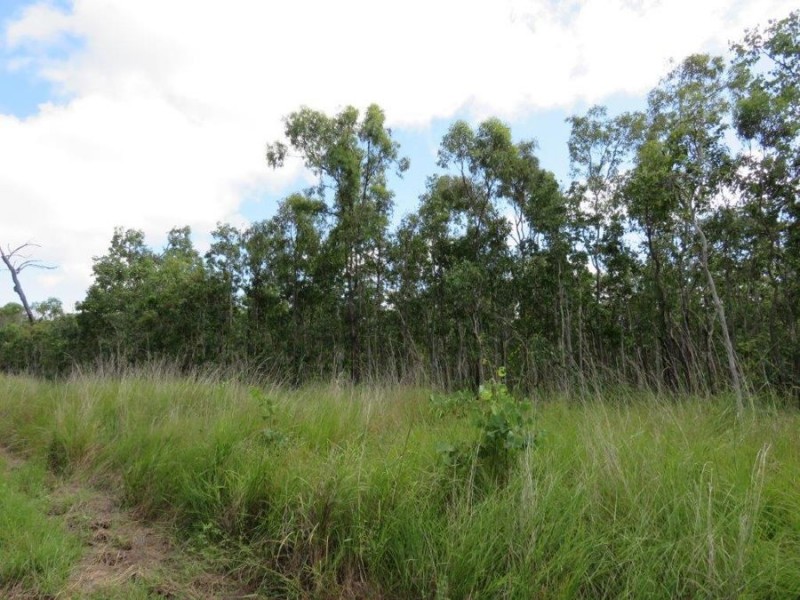 40 CONDER PARADE, Midge Point QLD 4799