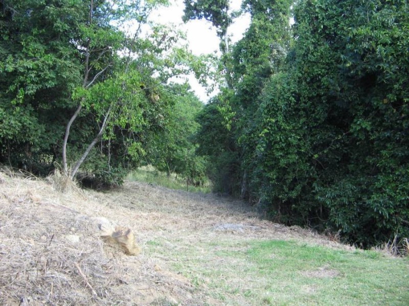 LOT 11 HAMILTON AVE HAYMAN VIEWS ESTATE, Cannonvale QLD 4802