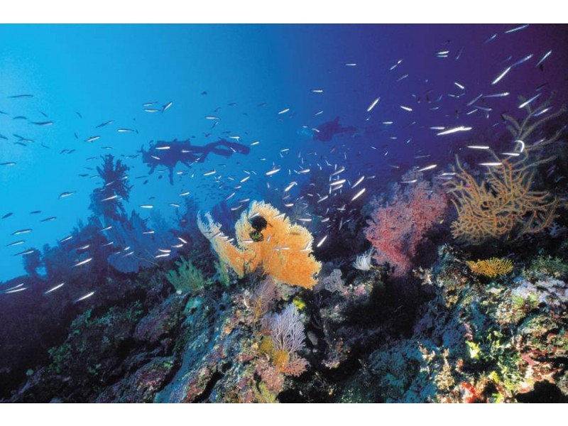 LOT 11 HAMILTON AVE HAYMAN VIEWS ESTATE, Cannonvale QLD 4802