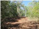 LOT 98 MIDGE POINT ROAD, Bloomsbury QLD 4799