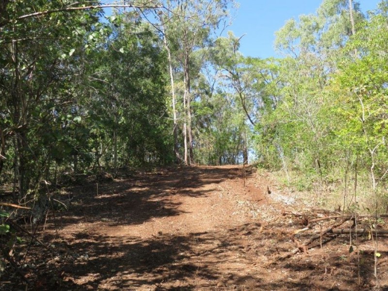 LOT 98 MIDGE POINT ROAD, Bloomsbury QLD 4799
