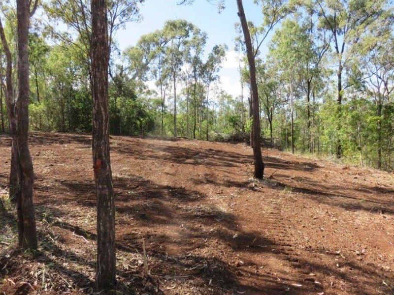 LOT 98 MIDGE POINT ROAD, Bloomsbury QLD 4799