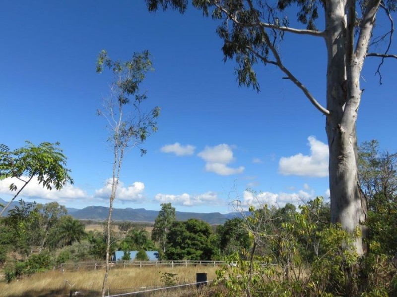 LOT 98 MIDGE POINT ROAD, Bloomsbury QLD 4799