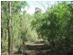 LOT 98 MIDGE POINT ROAD, Bloomsbury QLD 4799