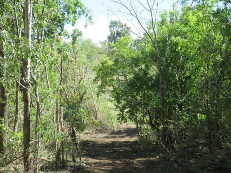 LOT 98 MIDGE POINT ROAD, Bloomsbury QLD 4799