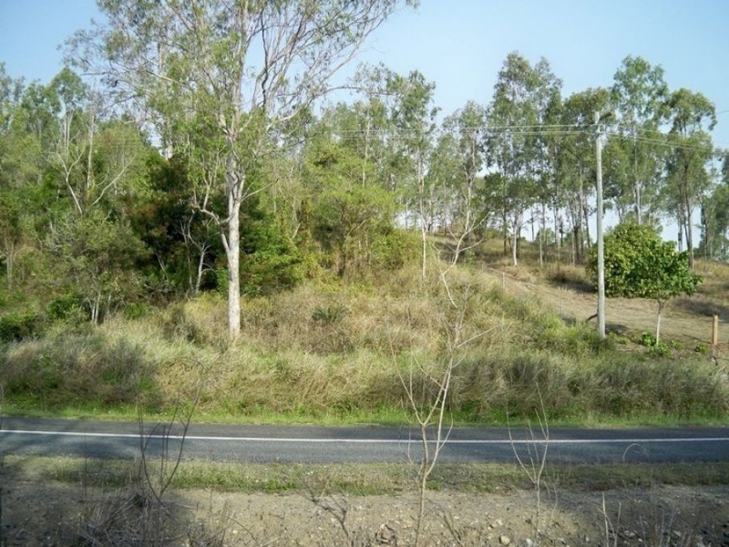 LOT 98 MIDGE POINT ROAD, Bloomsbury QLD 4799