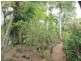 92 LELONA DRIVE, Bloomsbury QLD 4799