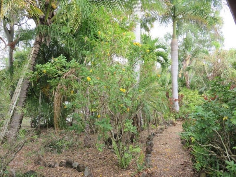 92 LELONA DRIVE, Bloomsbury QLD 4799