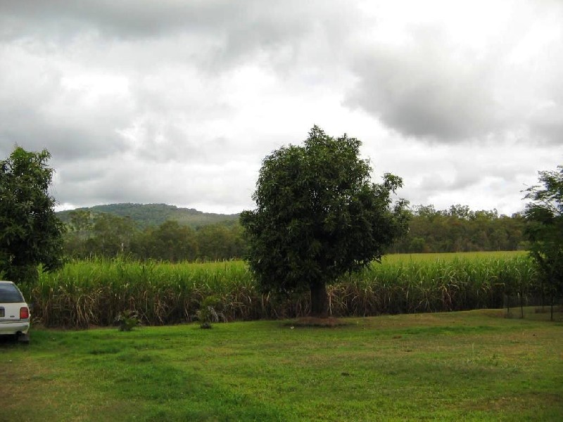 LOT 12  151 MCINTYRE ST, Calen QLD 4798