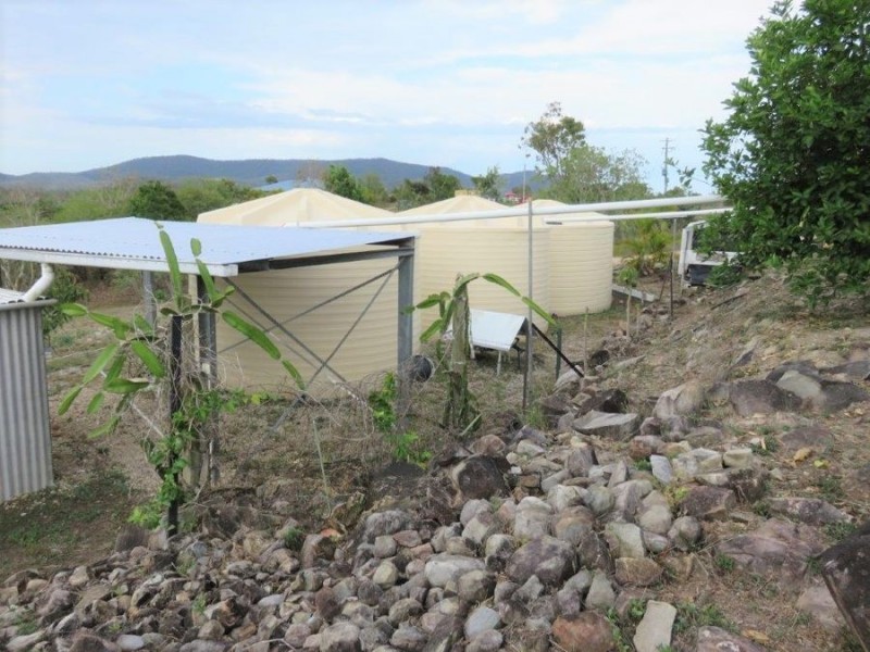 167 LINDEMAN DRIVE, Bloomsbury QLD 4799