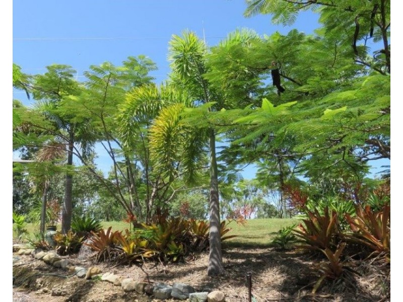18 CARLISLE CRESCENT, Bloomsbury QLD 4799