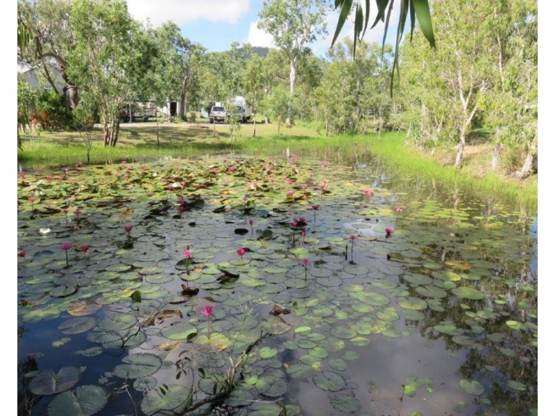48 CONDER PARADE, Midge Point QLD 4799