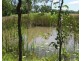 130 LELONA DRIVE, Bloomsbury QLD 4799